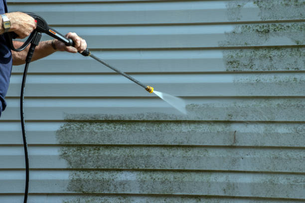 Best Sidewalk Pressure Washing  in Malone, FL