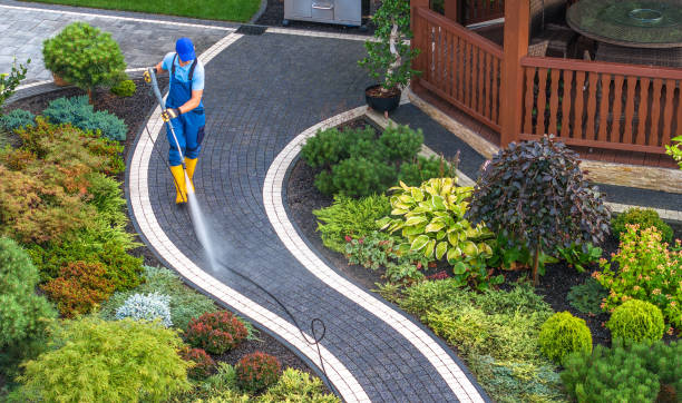 Best Roof Power Washing Services  in Malone, FL
