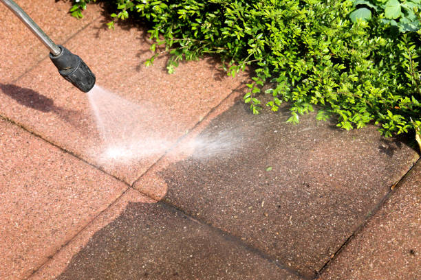 Best Affordable Pressure Washing  in Malone, FL